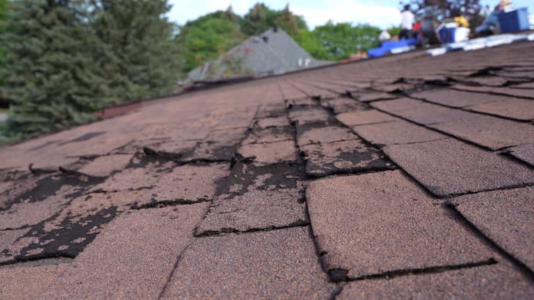 Best Wood Shake Roofing  in Toccoa, GA